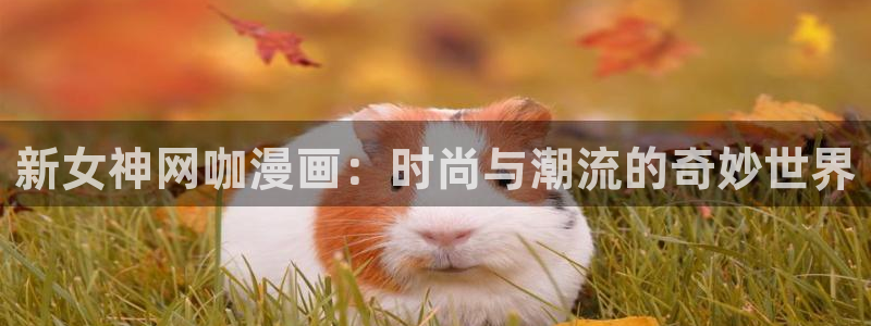 酷漫屋网入口页面