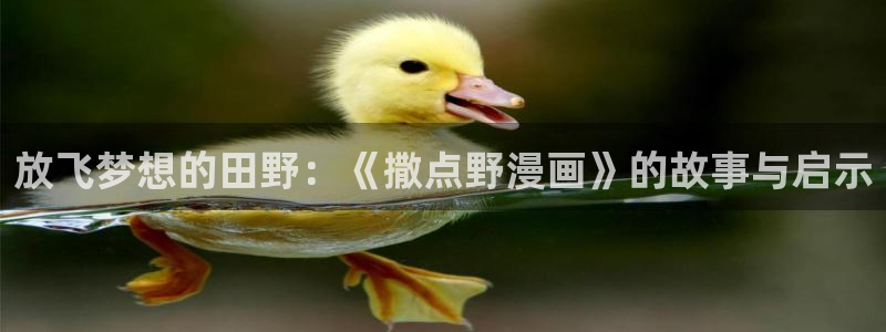 酷漫屋网：放飞梦想的田野：《撒点野漫画》的故事与启示